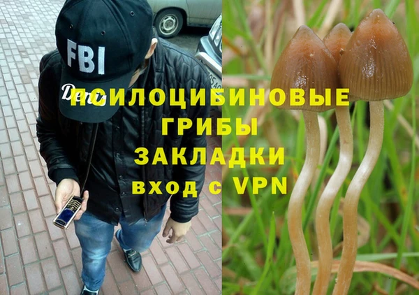 гашиш Сосновка