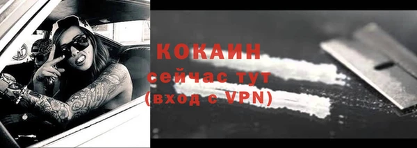 spice Сосновый Бор