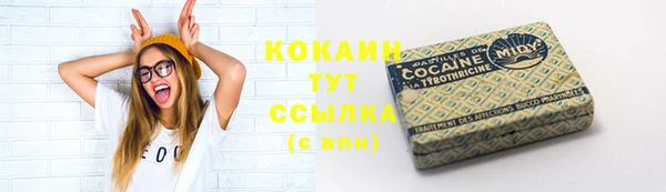 spice Сосновый Бор