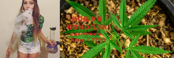 spice Сосновый Бор