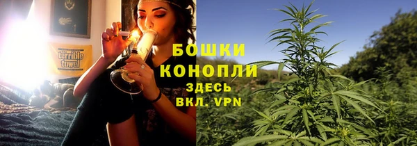spice Сосновый Бор